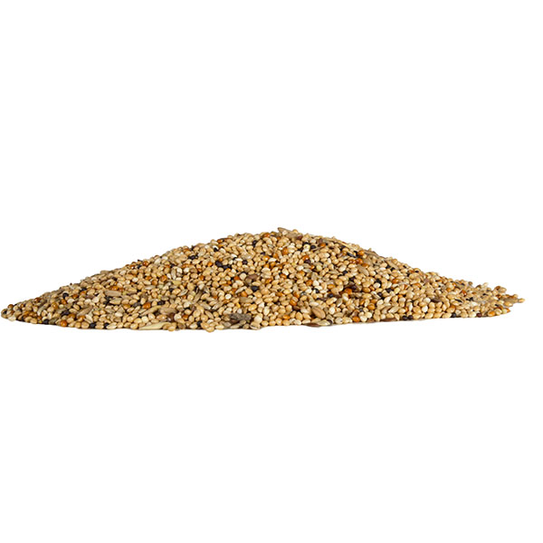 מדיוניקס תוכונים / תוכונים מיוחד 1 ק”ג / 4 ק"ג / 20 ק"ג – תמונה 4