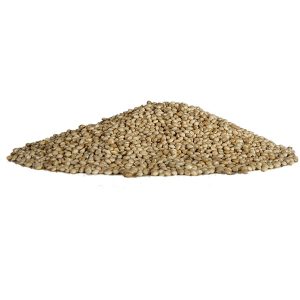 מדיוניקס דוחן לבן אמריקאי 1 ק"ג / 25 ק"ג