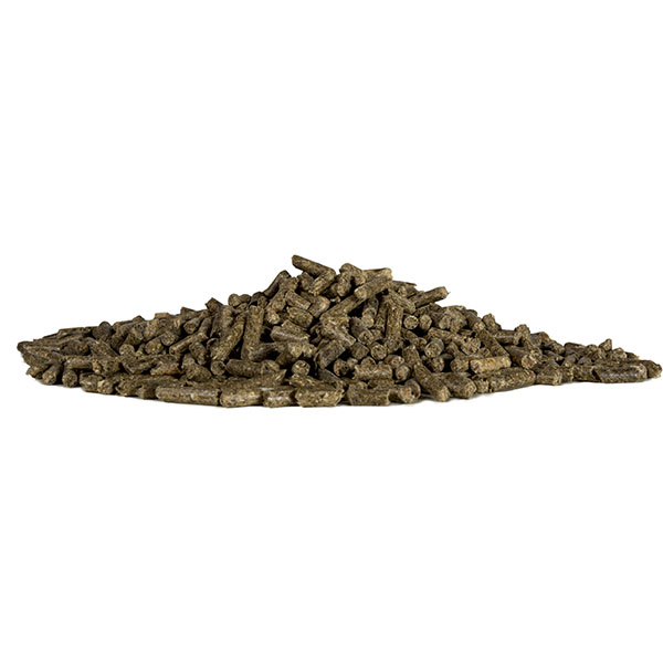 מדיוניקס מכרסמים 1 ק”ג / 4 ק"ג / 20 ק"ג – תמונה 4