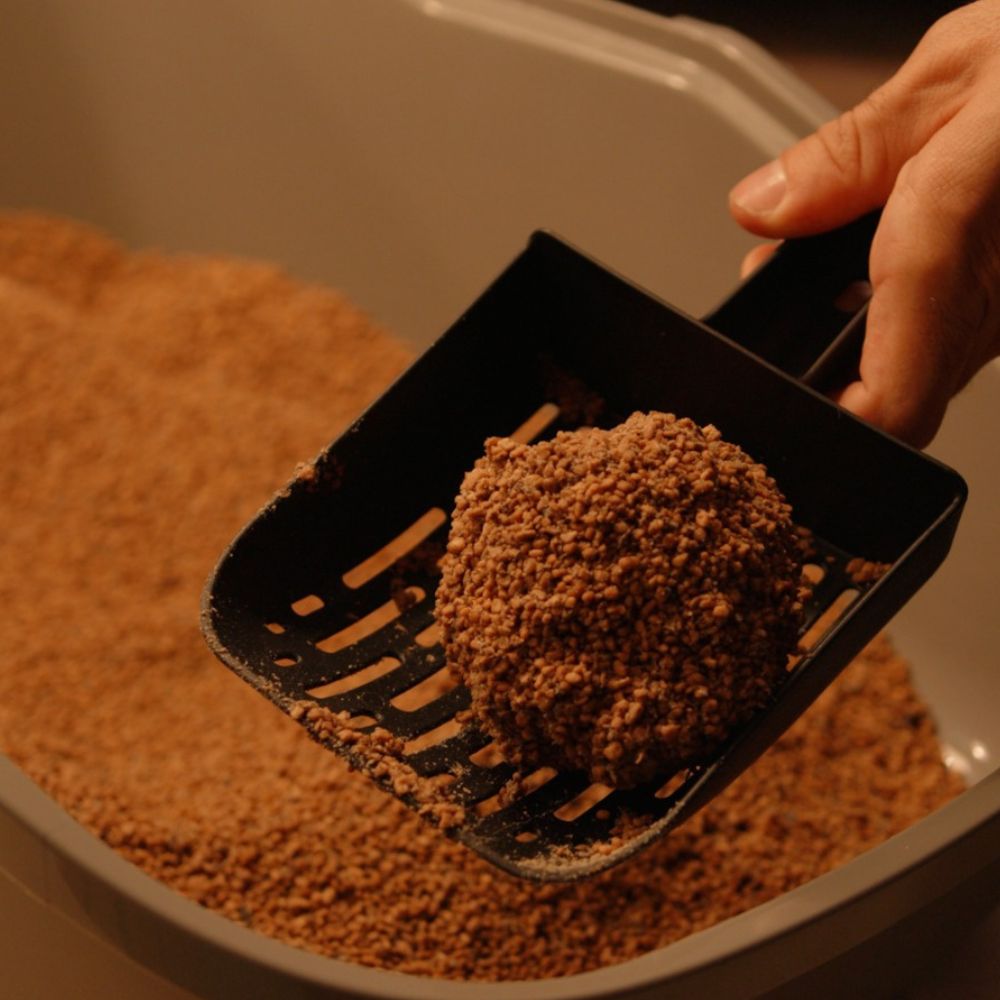 אוליבר חול חתולים אקולוגי 10 ליטר – תמונה 4