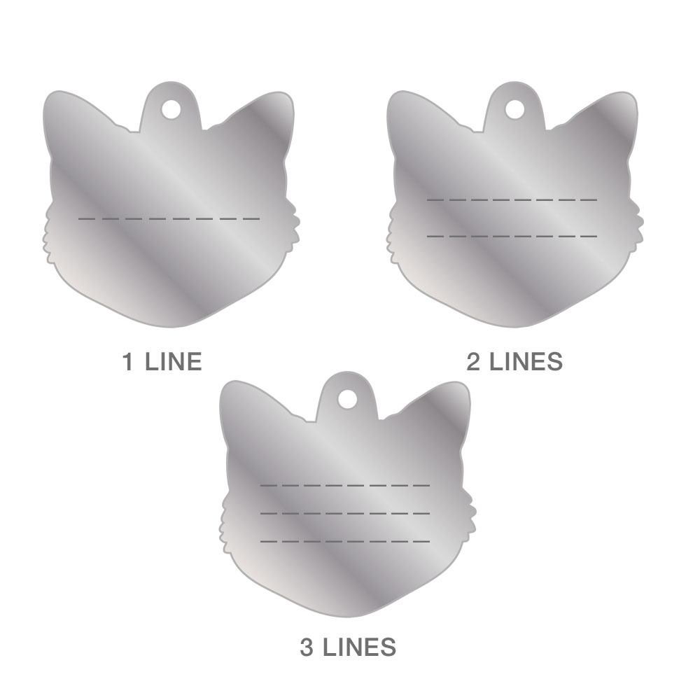 תג BIRMAN-MF63 – תמונה 3