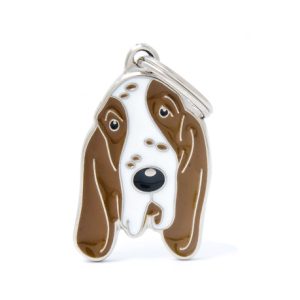 תג שם לכלב בראקו איטלקי