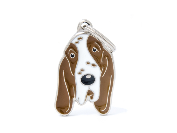 תג שם לכלב בראקו איטלקי