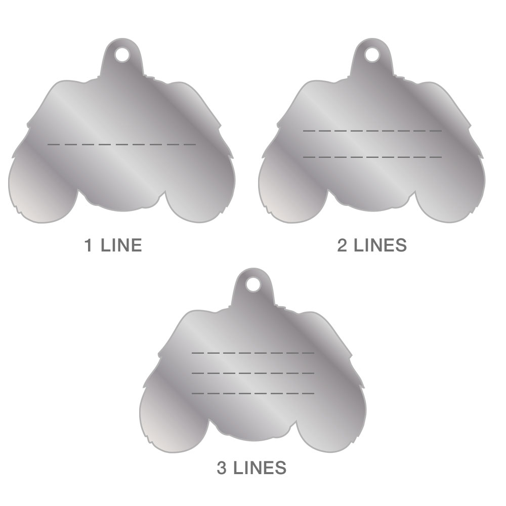 תג CAVALIER KING TRICOLOR-MF22 – תמונה 3