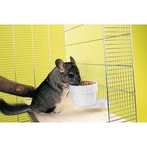 כלי מים CROCK Large