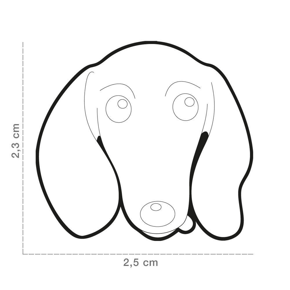 תג DACHSHUND BROWN-MF19 – תמונה 4