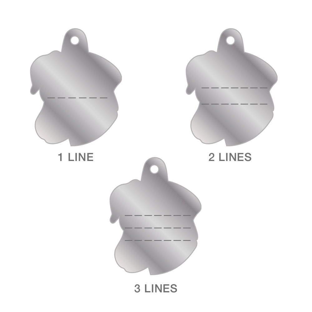 תג JACK RUSSEL BLACK-MF25 – תמונה 3