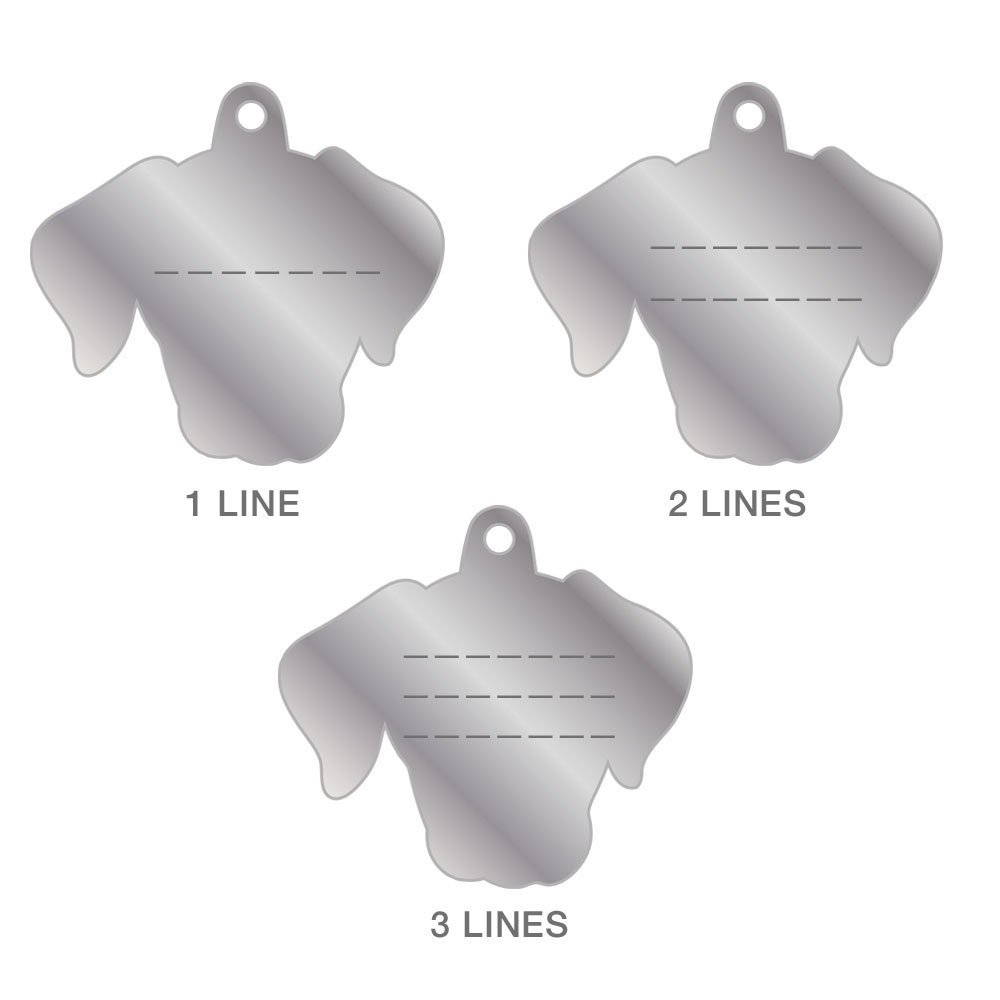 תג LABRADOR BLACK-MF31 – תמונה 2