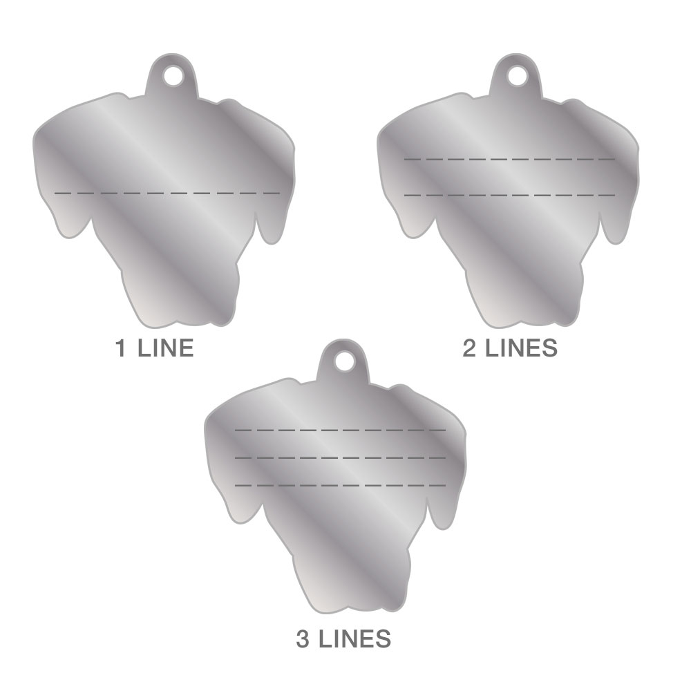 תג RHODESIAN RIDGEBACK-MF78 – תמונה 4