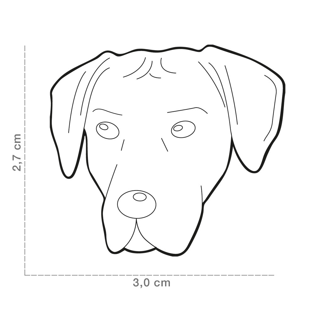 תג RHODESIAN RIDGEBACK-MF78 – תמונה 2