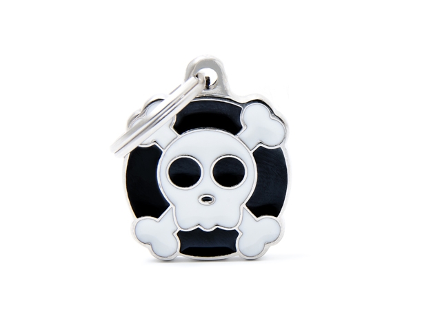 צארמס SKULL-CH06