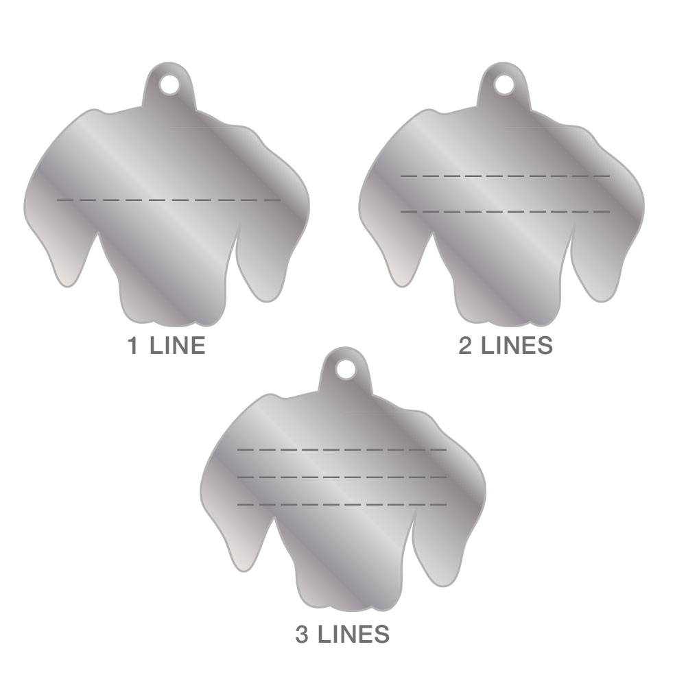 תג WEIMARANER-MF62 – תמונה 2