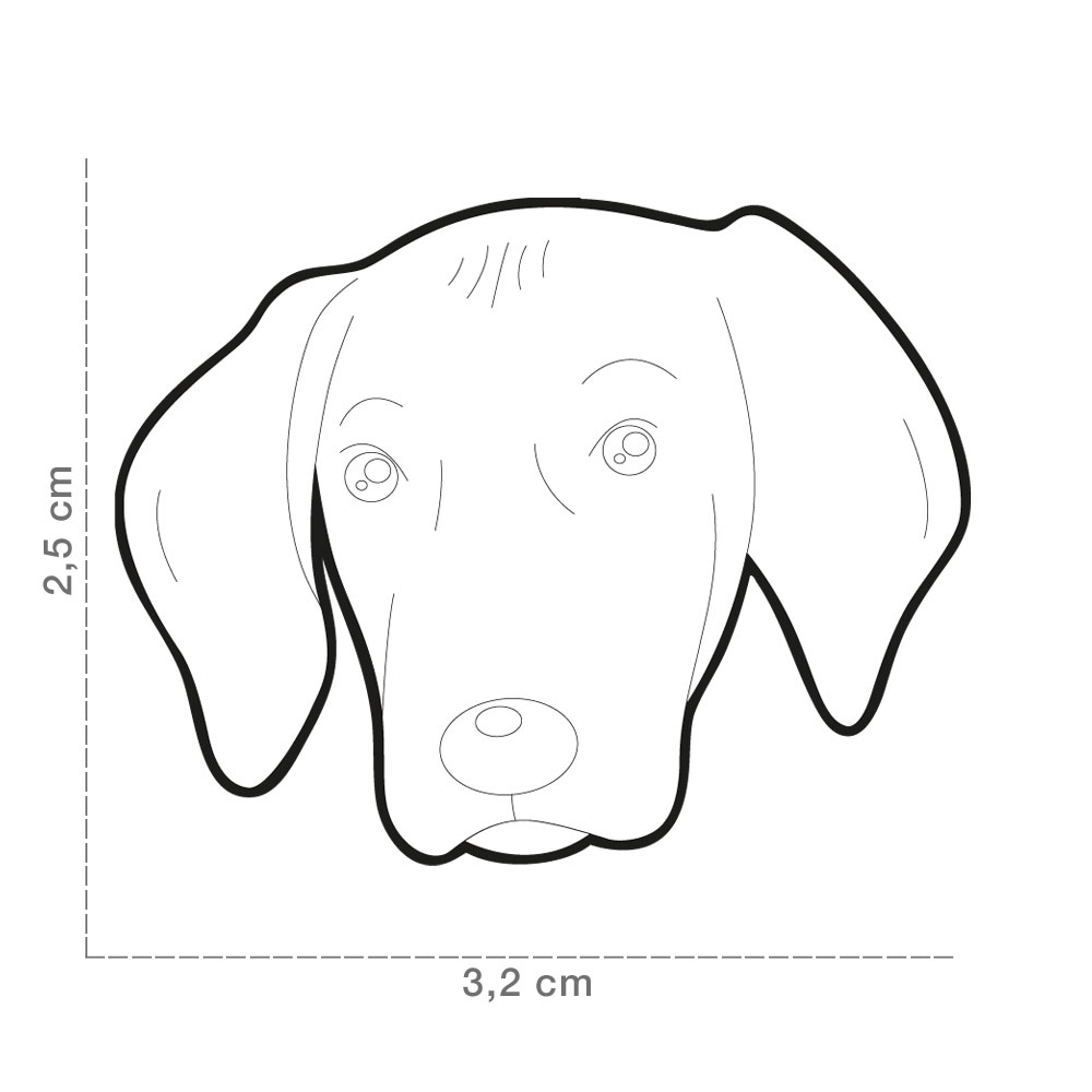 תג WEIMARANER-MF62 – תמונה 4