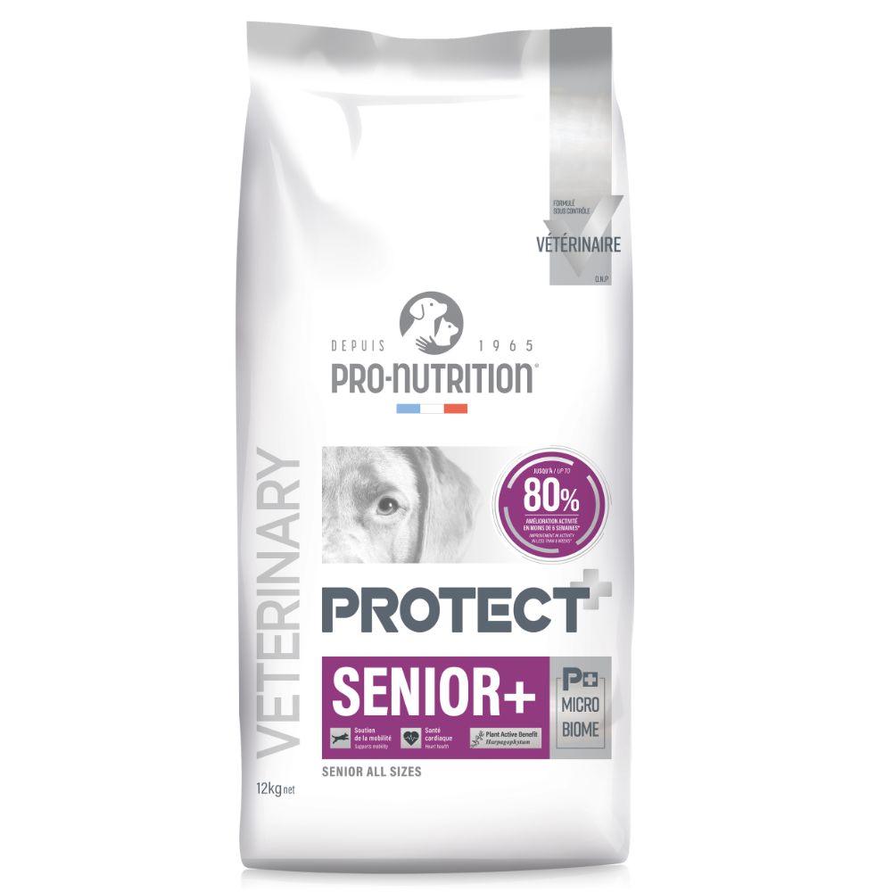 פרוטקט סניור+ 2 ק"ג / 12 ק"ג